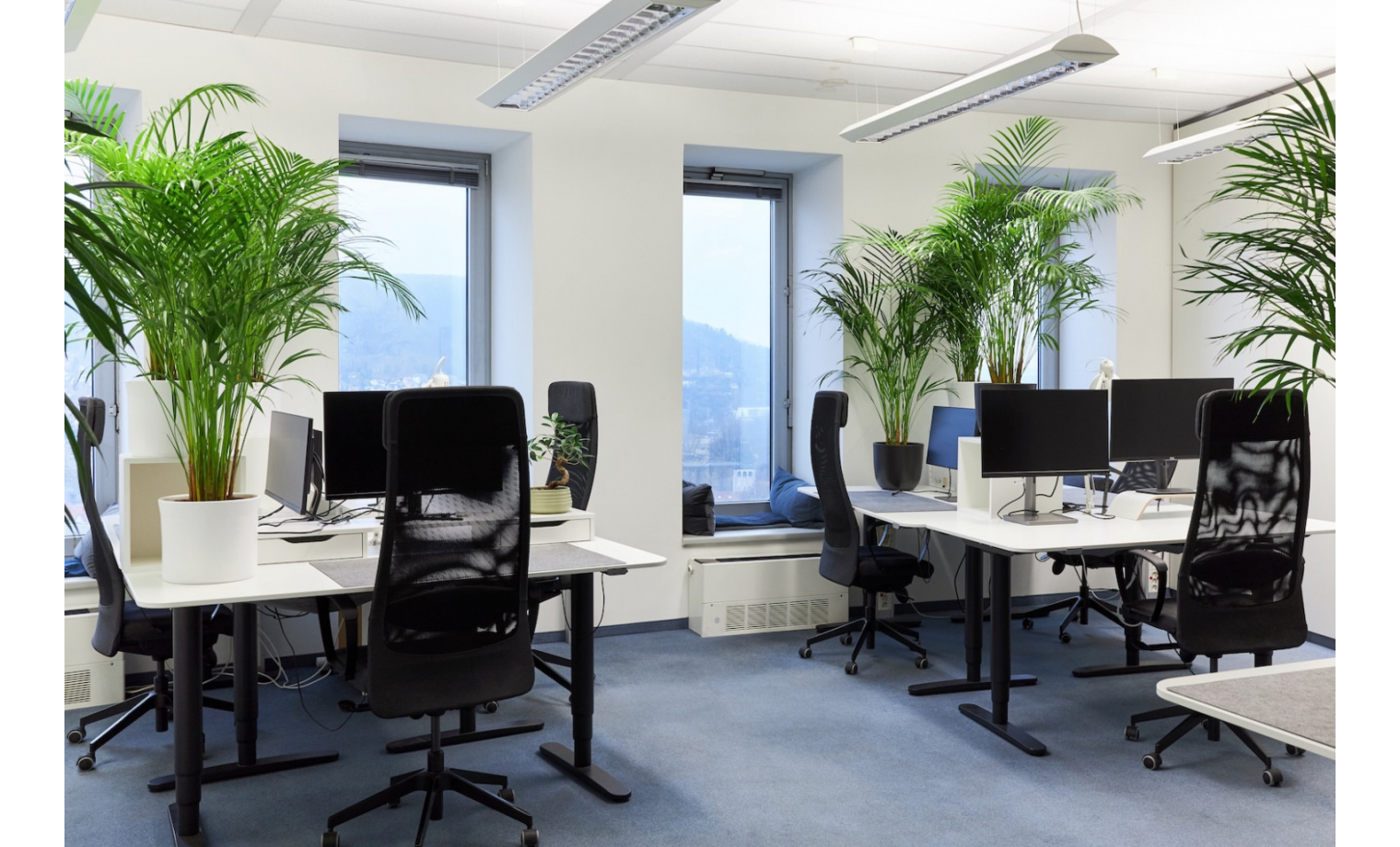 Coworking Space Leutragraben Jena Zentrum