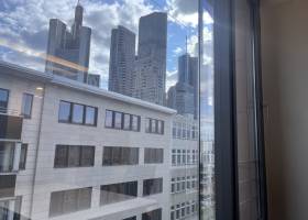 Blick aus Einzelbüro 3