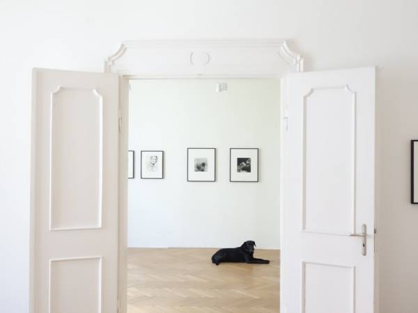 Stilvolle Altbau-Büroräume in Bürogemeinschaft in München-Schwabing — Bild 6
