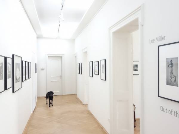 Stilvolle Altbau-Büroräume in Bürogemeinschaft in München-Schwabing — Bild 8