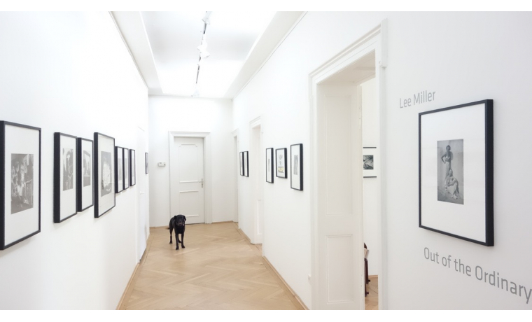 Office Sharing Franz-Joseph-Str. München Schwabing