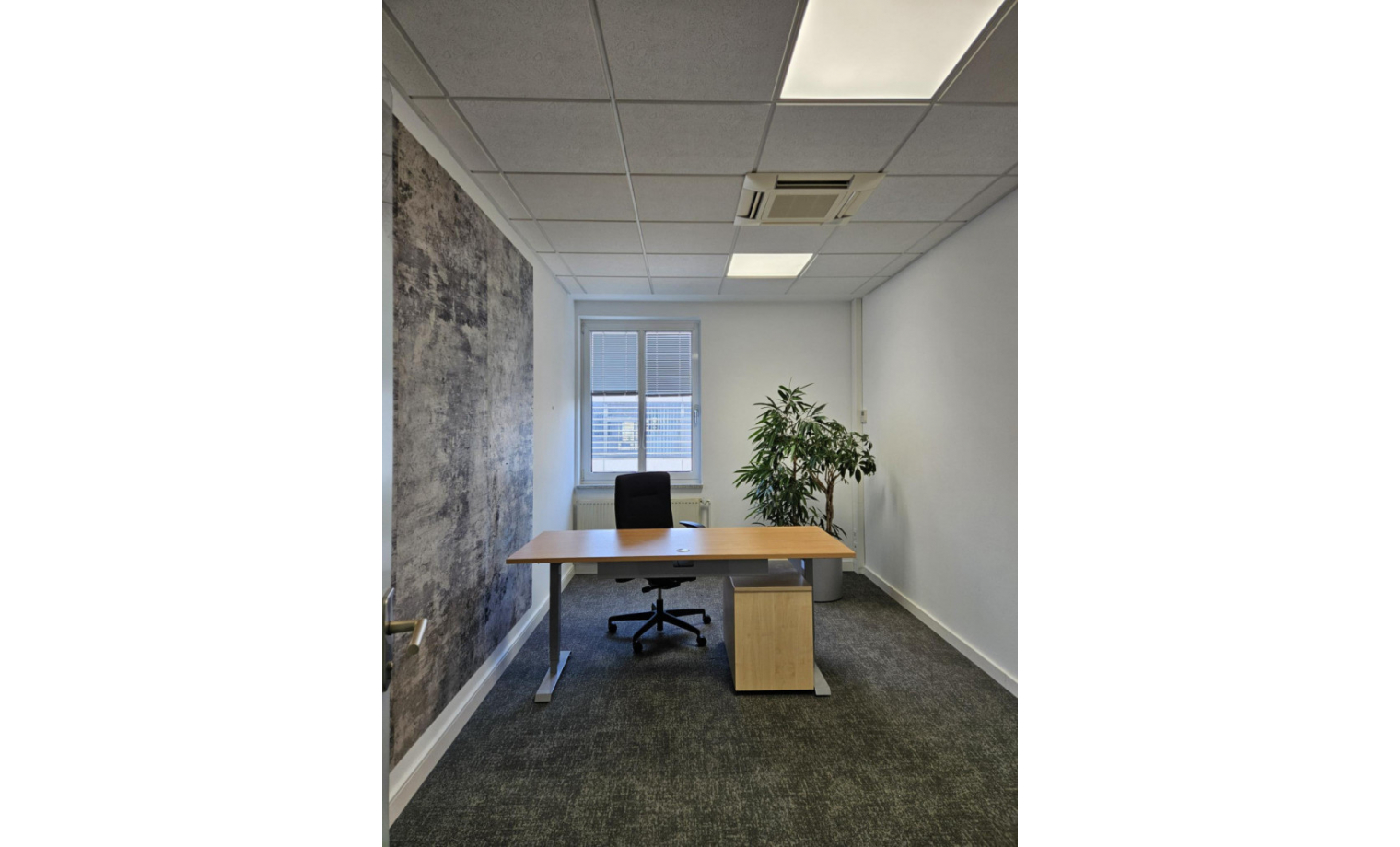 Büro mieten Carl-Zeiss-Ring Ismaning Ismaning