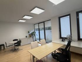 Helles Büro in etablierter Kanzlei in Dresden-Blasewitz