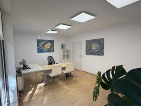 Helles Büro in etablierter Kanzlei in Dresden-Blasewitz
