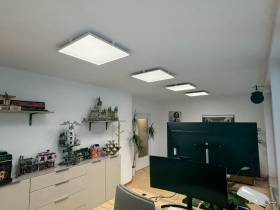 Helles Büro in etablierter Kanzlei in Dresden-Blasewitz