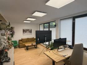 Helles Büro in etablierter Kanzlei in Dresden-Blasewitz