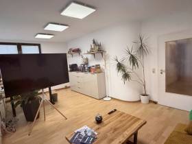Helles Büro in etablierter Kanzlei in Dresden-Blasewitz