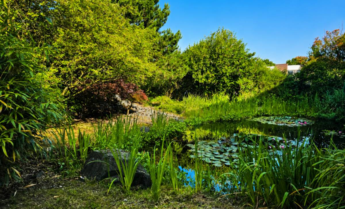 Ausblick ins Grüne mit Teich