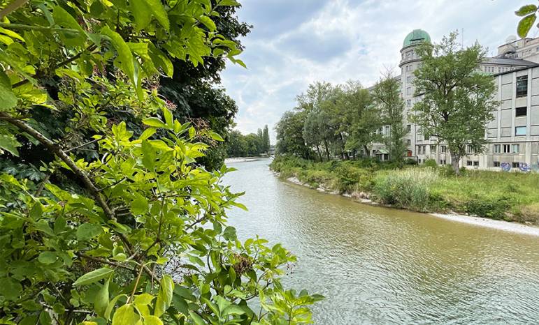 Isarblick