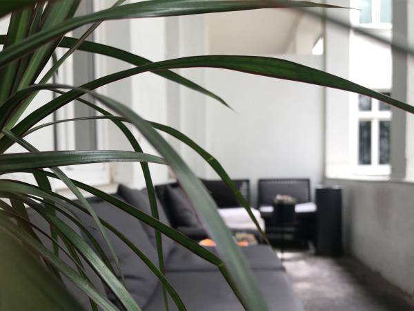 Bürofläche in Köln (Innenstadt) – Altbau-Galeriebüro mit Terrasse in kreativer Bürogemeinschaft — Bild 8