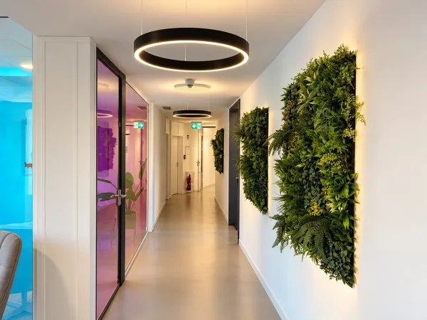 Abschließbares Büro in Köln (Altstadt-Süd) – Modernes Flex-Office & Coworking Space in Köln Altstadt-Süd — Bild 5