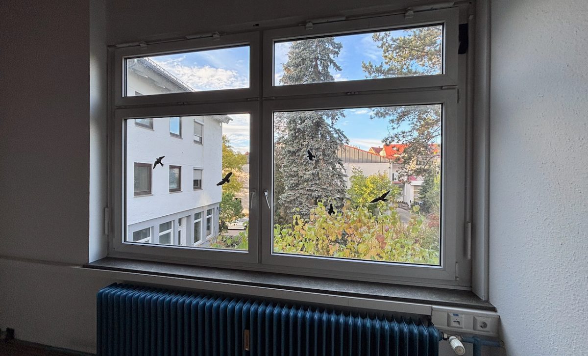 Blick ins Grüne