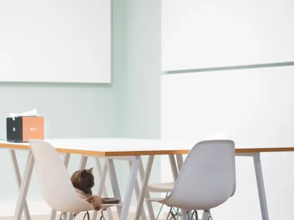 Schreibtischplatz in München (Ludwigsvorstadt-Isarvorstadt) – Coworking im Kreativ Loft am Gärtnerplatz — Bild 5