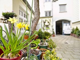 Arbeitsplatz in einem schönen, idyllisch gelegenen Hinterhofbüro