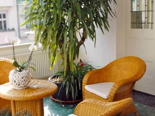 Schreibtischplatz in Berlin (Prenzlauer Berg) – Kreativer Arbeitsplatz in Gründerzeit-Villa in Berlin-Prenzlauer Berg — Bild 5