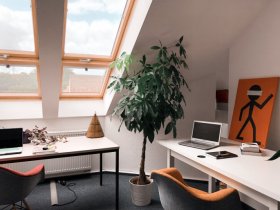 Einzigartiges Coworking in der Innenstadt in Frankfurt (Oder)