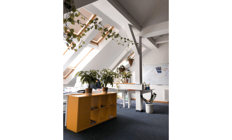 Coworking Space Zehmpelatz Frankfurt (Oder) 