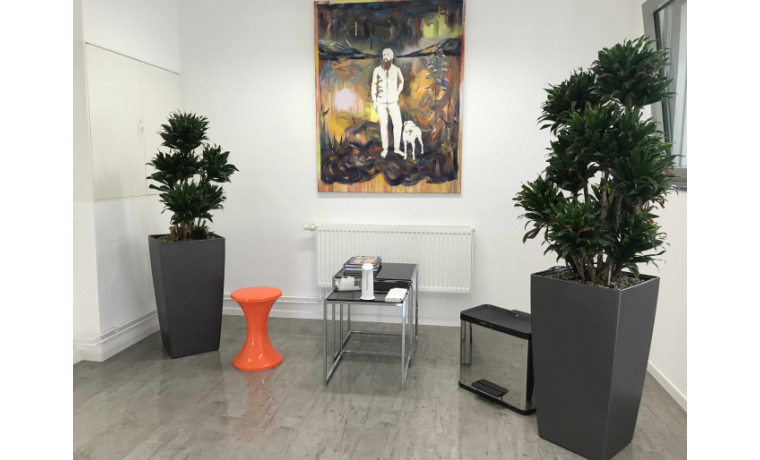 Shared Office Friedrich-Ebert-Str. Ingelheim am Rhein 