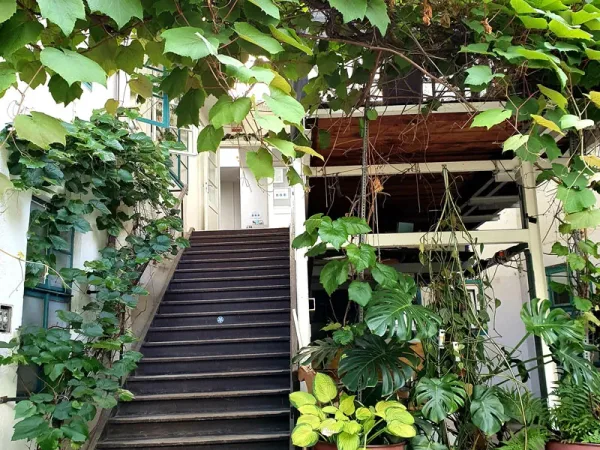 Schreibtischplatz in Wien (Ottakring) – Separater heller Büroraum mit 2 Arbeitsplätzen mit Blick ins Grüne — Bild 5