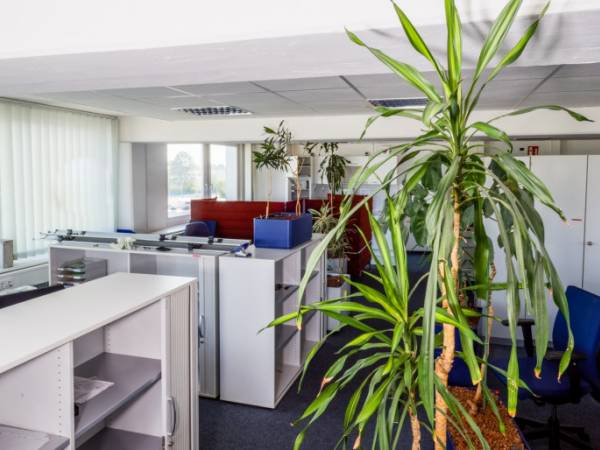 Frisch sanierte Büroeinheiten in Bürogemeinschaft in Schwieberdingen — Bild 4