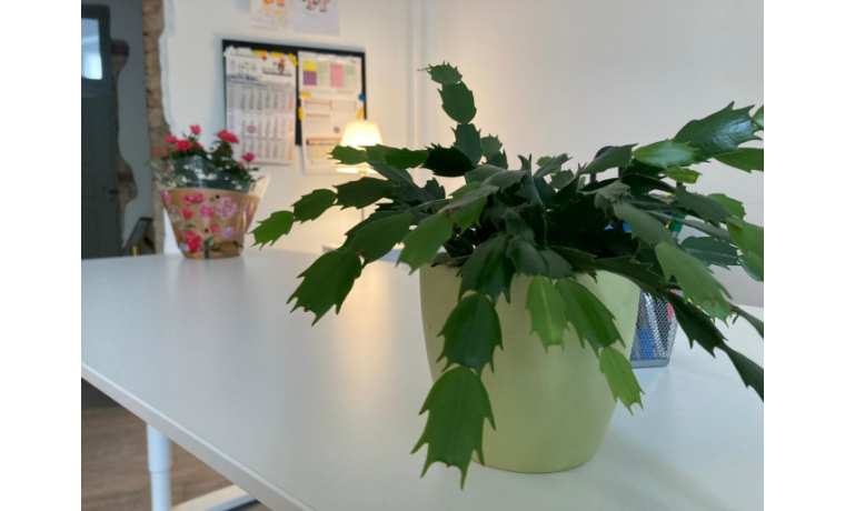 Office Sharing Langenscheidtstraße Berlin Schöneberg