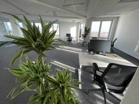 Modernes Büro mit Dachterrasse in Reinickendorf