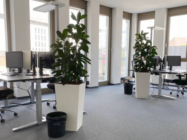 Moderne Büroräume in Bürogemeinschaft in Böblingen-Flugfeld — Bild 6