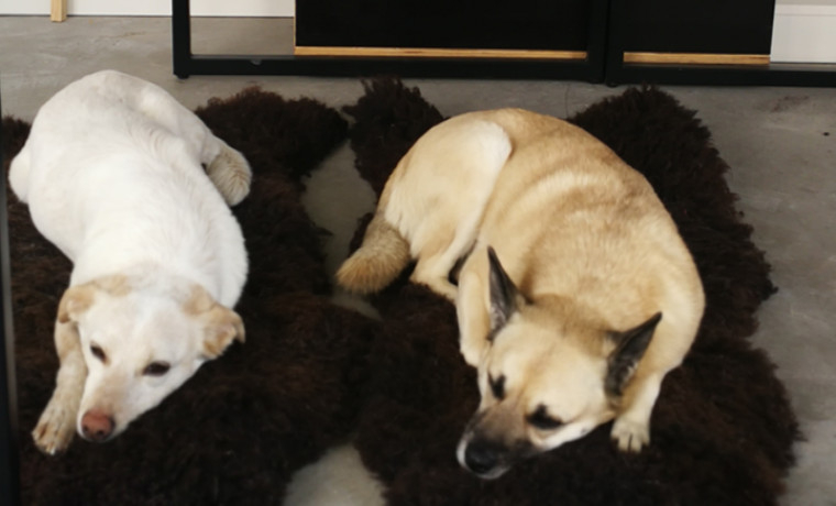 Arbeitsplatz Zwirnerstraße Köln Altstadt-Süd