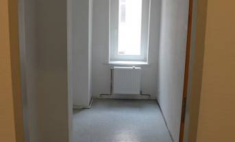 Helle und kreative Bürogemeinschaft im Altbau in Berlin Prenzlauer