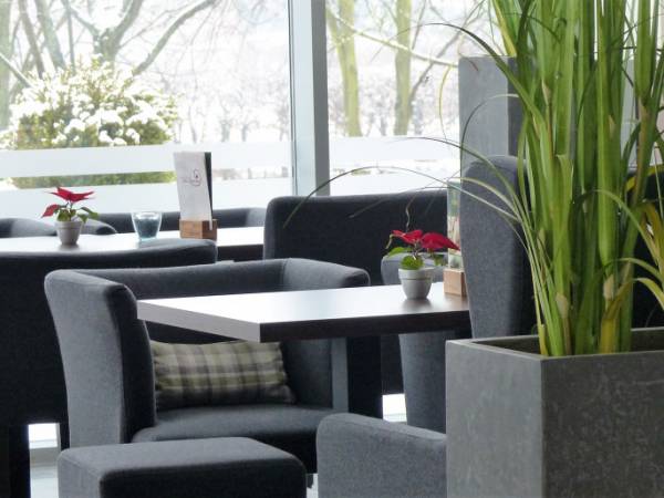 Coworking im Herzen Mecklenburgs — Bild 8