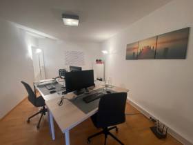 Starnberg Co Working Home Office mit  See und Bergblick
