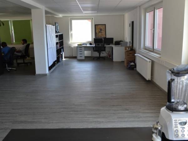 Bürogemeinschaft für Hundeliebhaber in Würzburg-Grombühl — Bild 3