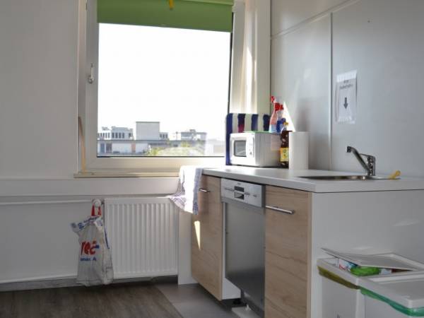 Bürogemeinschaft für Hundeliebhaber in Würzburg-Grombühl — Bild 4