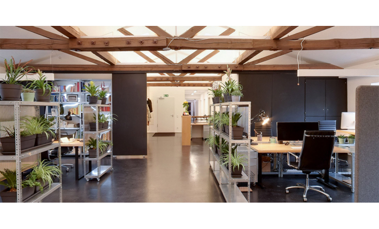 Shared Office Kolosseumstraße München Glockenbachviertel
