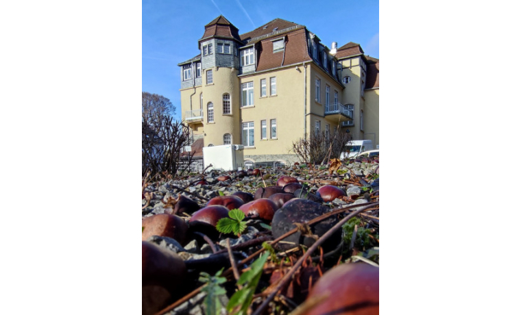 Büroraum Öhlmühlweg Königstein im Taunus 