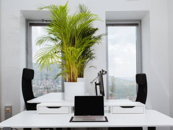 Moderner Coworking Space & Büros im Turm in Jena Zentrum — Bild 7