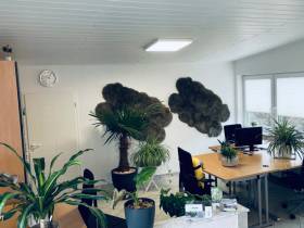 Arbeitsplätze in heller Fläche und angenehmer Raumatmosphäre