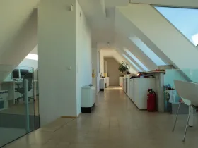 Kreative Bürogemeinschaft im Dachgeschoss in Wien-Alsergrund