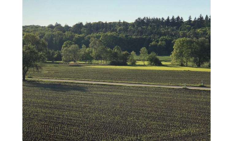 Arbeitsplatz Robert-Bosch-Str. Leonberg Warmbronn