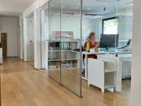Coworking Space Palesteet / DA-Mitte / All-In Miete / Hotdesk