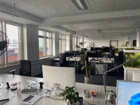 Co-Working in innovativer Startup Atmosphäre
