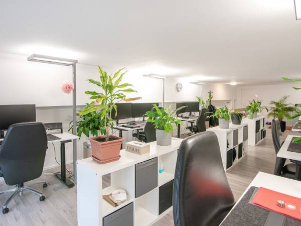 Moderne Bürogemeinschaft im Startup-Stil in Frankfurt am Main-Höchst — Bild 1