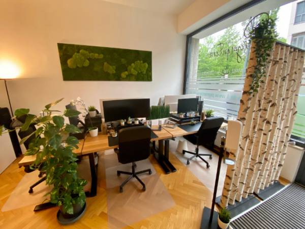Schreibtischplatz in München (Au-Haidhausen) – Einladende Bürogemeinschaft in München-Au-Haidhausen — Bild 6