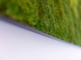 Tolle Lage mit motivierenden Menschen - Schreibtischplätze