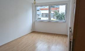 Arbeitsplatz in Bürogemeinschaft in Tübingen-Gartenstadt
