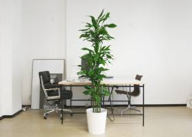 Offener Arbeitsplatz