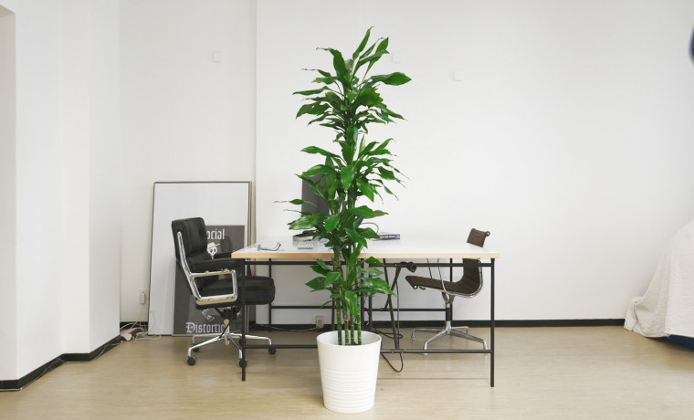 Coworking Space Weichselstraße Berlin Friedrichshain