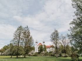 Repräsentativer Büroraum mit Seeblick ab sofort zu vermieten