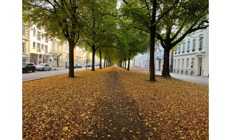 Büroräume Palmaille Hamburg Altona