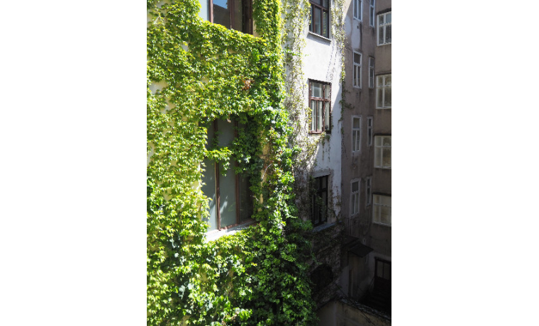 Bürogemeinschaft Schottenfeldgasse Wien 